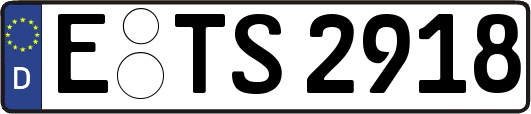 E-TS2918
