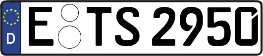 E-TS2950