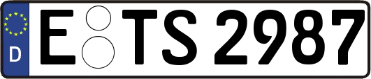 E-TS2987