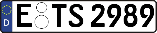 E-TS2989