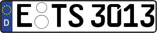E-TS3013