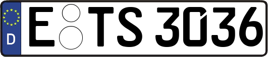E-TS3036