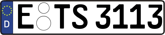 E-TS3113