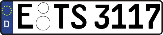 E-TS3117