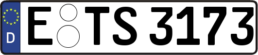 E-TS3173