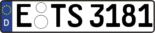 E-TS3181