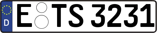 E-TS3231