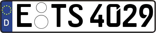 E-TS4029