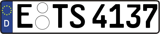 E-TS4137