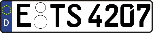 E-TS4207