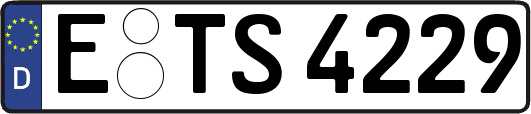 E-TS4229