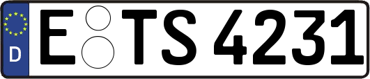 E-TS4231