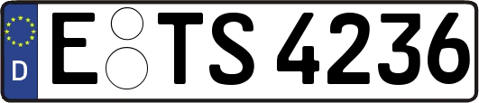 E-TS4236