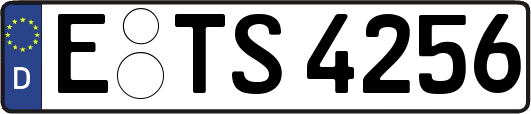 E-TS4256
