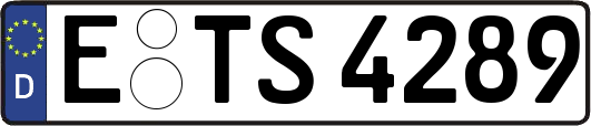E-TS4289