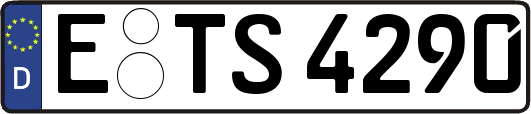 E-TS4290