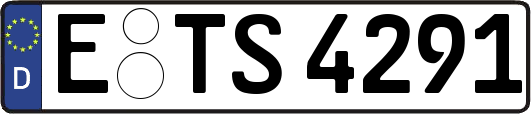 E-TS4291