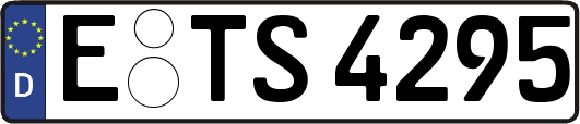 E-TS4295