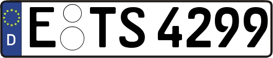 E-TS4299