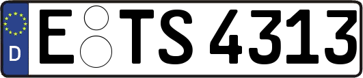 E-TS4313