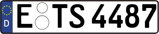 E-TS4487