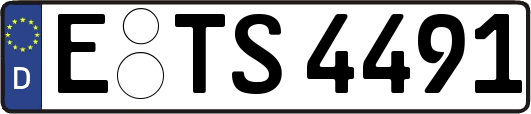 E-TS4491