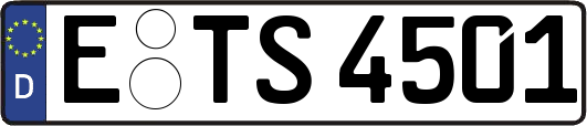 E-TS4501