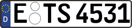 E-TS4531