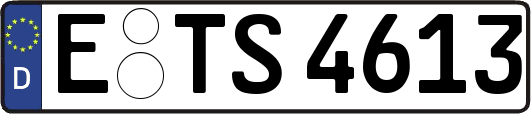 E-TS4613