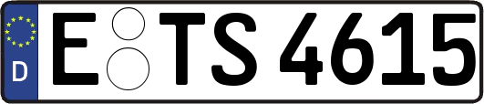 E-TS4615