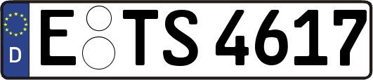 E-TS4617