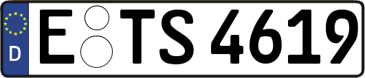E-TS4619