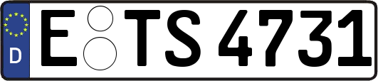 E-TS4731
