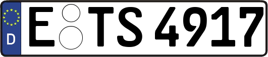 E-TS4917