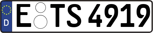 E-TS4919