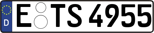 E-TS4955