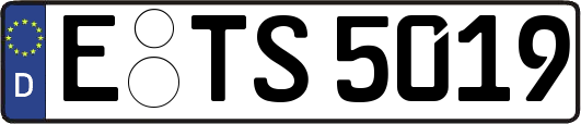 E-TS5019