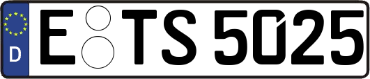 E-TS5025