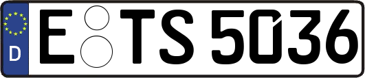 E-TS5036