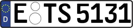 E-TS5131