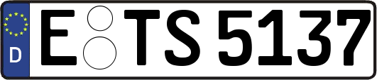 E-TS5137