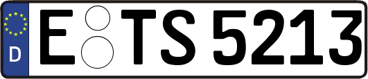E-TS5213