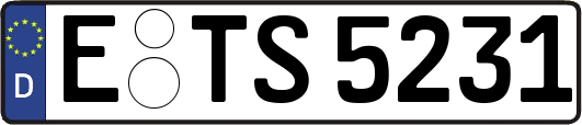 E-TS5231
