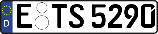E-TS5290
