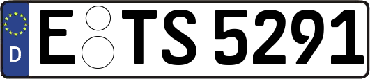 E-TS5291
