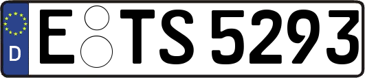 E-TS5293