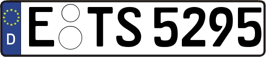 E-TS5295
