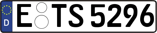 E-TS5296
