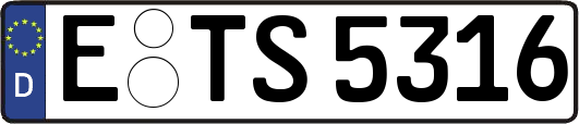 E-TS5316