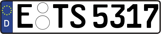 E-TS5317